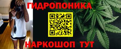 каннабис Кохма