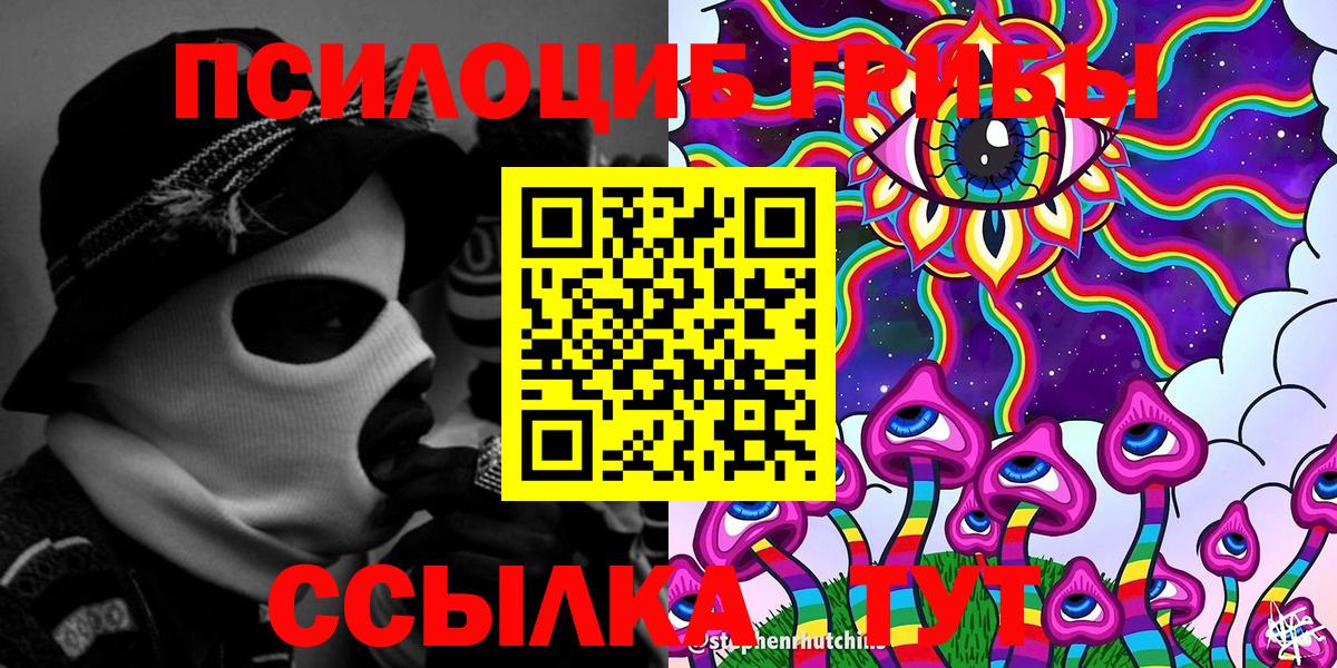 Псилоцибиновые грибы Cubensis Ессентуки